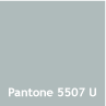 Pantone 5507 U