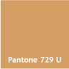 Pantone 729 U